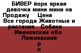 БИВЕР йорк яркая девочка мини мини на Продажу! › Цена ­ 45 000 - Все города Животные и растения » Собаки   . Ивановская обл.,Лежневский р-н